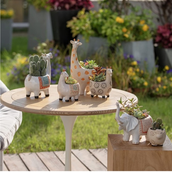 LA JOLIE MUSE Ceramic Animal Succulent Planters - Picture 8 of 8